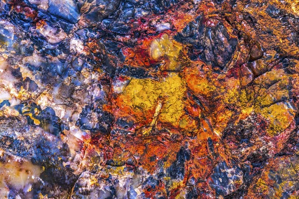 Czerwony Pomarańczowy Żółty Petrified Wood Log Streszczenie Crystal Forest Petrified — Zdjęcie stockowe