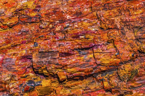 Czerwony Pomarańczowy Żółty Petrified Wood Log Streszczenie Crystal Forest Petrified — Zdjęcie stockowe
