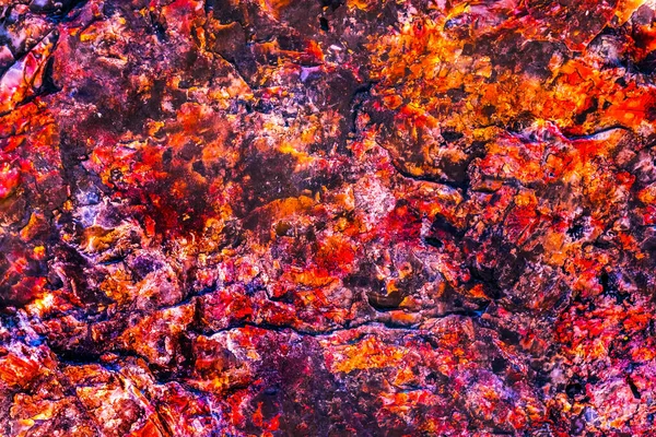 Red Orange Yellow Petrified Wood Log Abstrato Floresta Cristal Parque — Fotografia de Stock