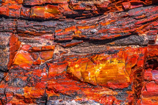 红橙黄石化木测井摘要水晶森林石化森林亚利桑那州国家公园 免版税图库图片