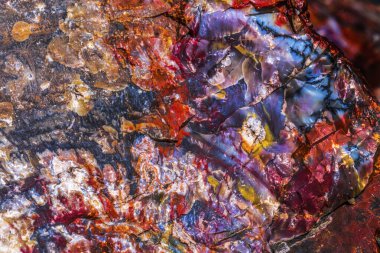 Kırmızı Turuncu Sarı Taşlaşmış Ahşap Kütük Soyut Kristal Ormanı Taşlaşmış Orman Ulusal Parkı Arizona 