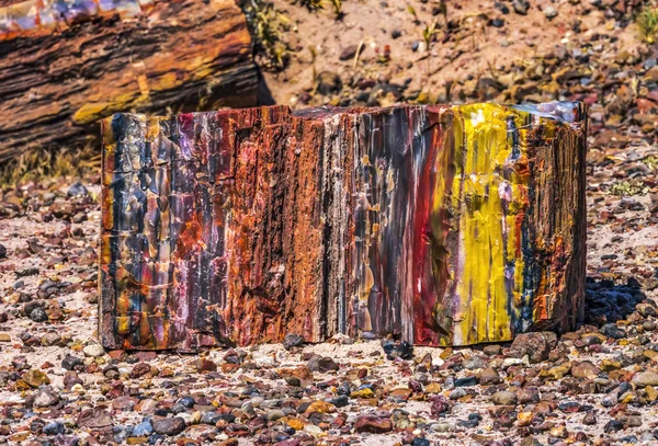 Red Orange Yellow Petrified Wood Log Abstrato Floresta Cristal Parque — Fotografia de Stock