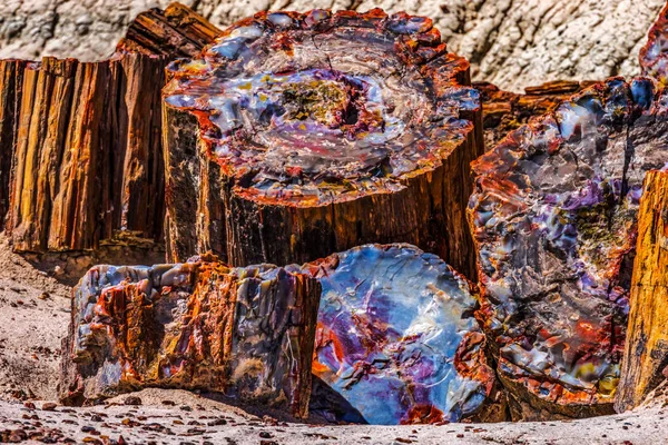 Czerwony Pomarańczowy Żółty Petrified Wood Logs Streszczenie Crystal Forest Petrified — Zdjęcie stockowe