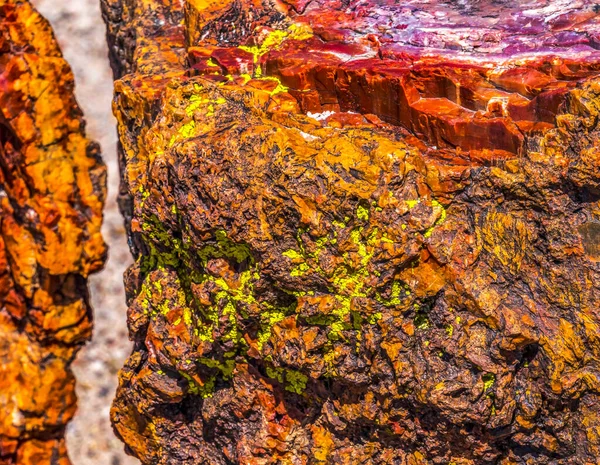 Red Orange Yellow Petrified Wood Log Kristallwald Versteinerter Wald Nationalpark — Stockfoto