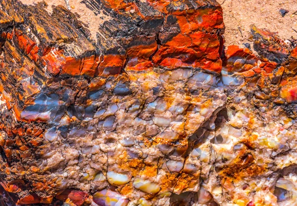 Czerwony Pomarańczowy Żółty Petrified Wood Log Streszczenie Crystal Forest Petrified — Zdjęcie stockowe