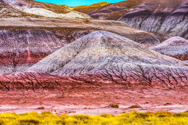 Colorido Tepees Hills Formação Badland Pintado Deserto Floresta Petrificada Parque — Fotografia de Stock