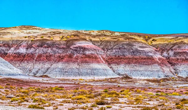 Kleurrijk Tepees Hills Badland Formation Painted Desert Petrified Forest National — Stockfoto