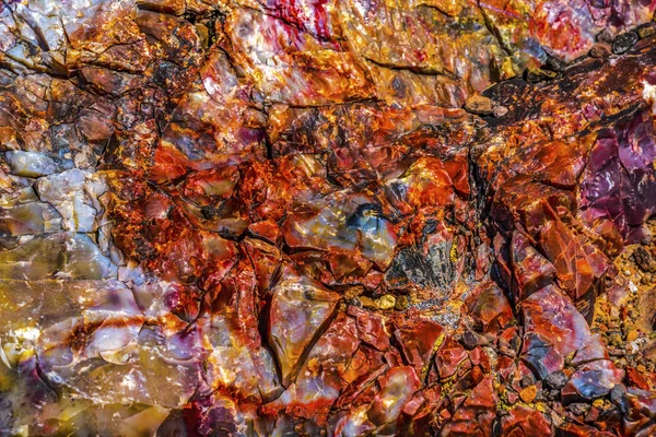 Röd Orange Gul Förstenad Trä Log Abstrakt Crystal Forest Förstenad — Stockfoto