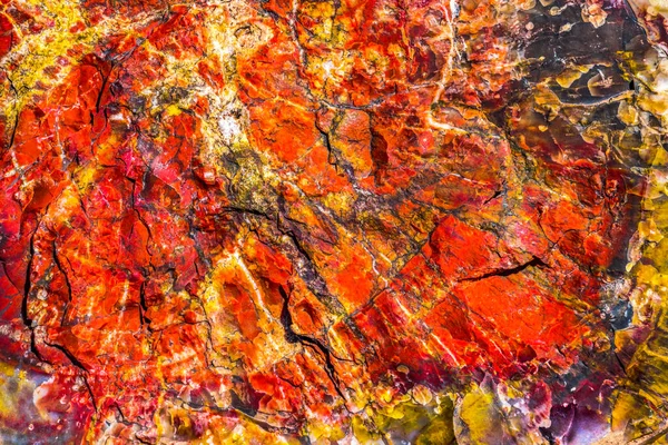 Реферат Red Orange Yellow Petrified Wood Log Crystal Forest Petrified — стоковое фото