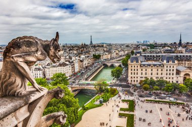 Gargoyle Fantastik Yaratık Notre Dame Kilise Binaları Seine Nehri Şehir Merkezi Paris Fransa. Gargoyle çatıdaki suyu boşaltmak için su borusu olarak kullanılır..