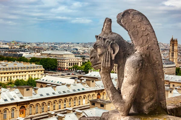 Gargoyle Fantastic Creature Notre Dame Vista Chiesa Edifici Cityscape City — Foto Stock