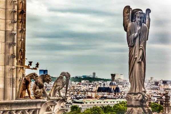 法国巴黎火城中心前的圣母院女神像 石榴被用作排水的喷口 — 图库照片