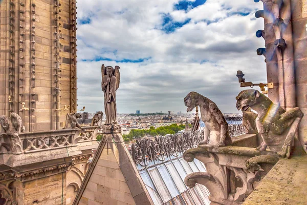Gargoyles Fantastic Creatures Statue Roof Notre Dame Church Fire City — Foto Stock