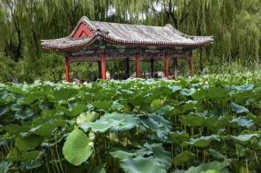 Kırmızı köşk lotus Bahçe temple of sun city park beijing, Çin