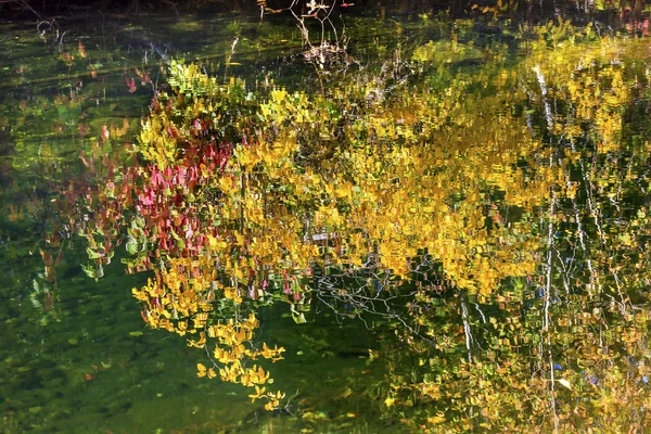 Giallo lascia cadere i colori riflessione Wenatchee River Valley vicino — Foto Stock