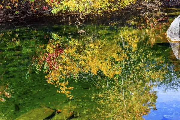 Gele rode bladeren Fall kleuren groen Water reflectie Abstract We — Stockfoto