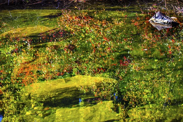 Giallo rosso lascia cadere i colori Verde acqua riflessione astratto noi — Foto Stock