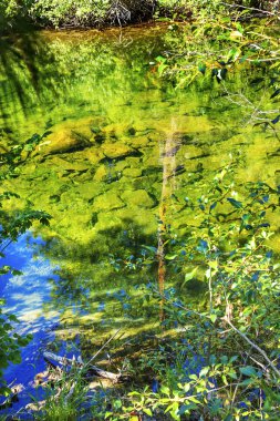 Summer Colors Green Blue Reflection Wenatchee River Valley Near  clipart