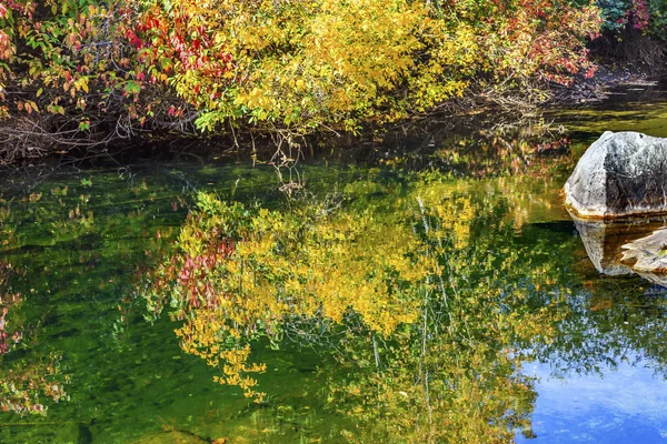 Gele rode bladeren Fall kleuren groen Water reflectie Abstract We — Stockfoto