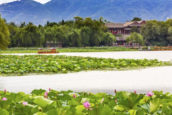 Lotus Garden Boat Buildings Sommerpalasset Beijing, Kina – stockfoto