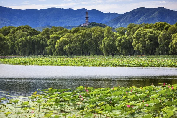 Yue Feng Pagode Lotusgarten Reflexion Sommerpalast beijing, c — Stockfoto