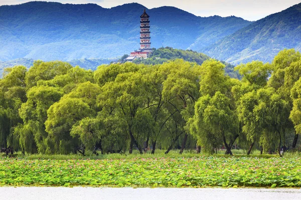 Yue Feng Pagoda Lotus Garden Willow drzew Summer Palace Beijing, — Zdjęcie stockowe