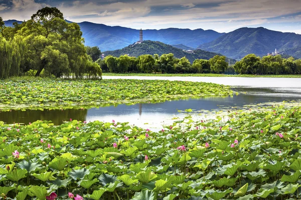 Yue Feng Pagoda Lotus Garden tükrözi a nyári palota Pekingben, C — Stock Fotó