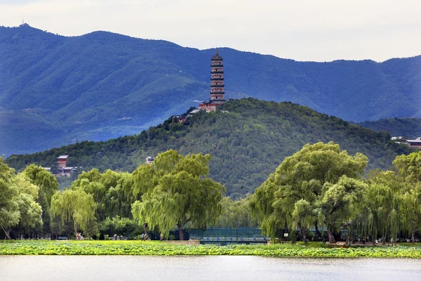 Yue Feng Pagoda Lotus Jardín Sauce Árboles Palacio de Verano Beijing , —  Fotos de Stock