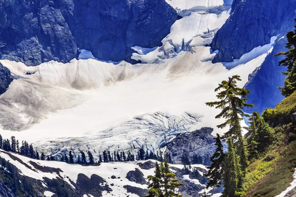 Glaciar Mount Shuksan Primer plano Evergreens Artist Point Washingto — Foto de Stock