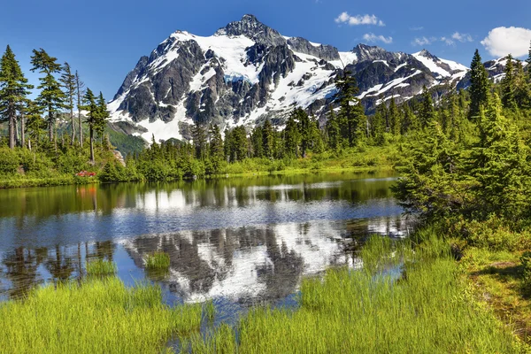 Lake evergreens berg shuksan foto washington usa — Stockfoto