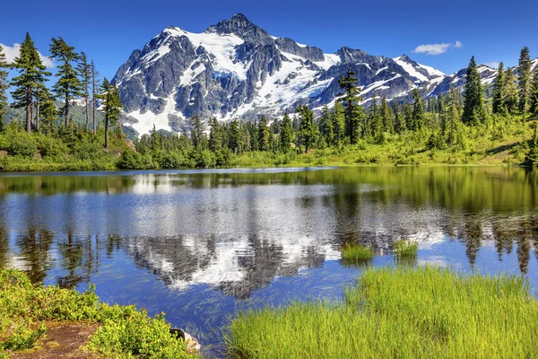 Picture Lake Evergreens Mount Shuksan Washington USA — Stock Photo, Image