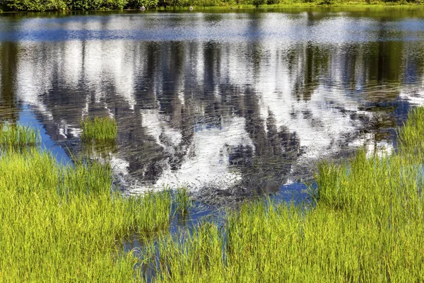 Obraz jezero reflexe abstraktní zelené trávě Mount Shuksan Washi — Stock fotografie