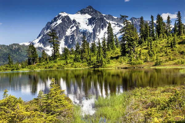 Picture Lake Evergreens Mount Shuksan Washington USA — Stock Photo, Image