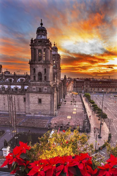 メトロポリタン大聖堂クリスマス ソカロ メキシコ市日の出 — ストック写真