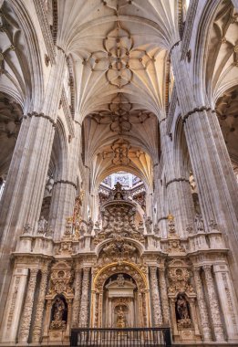 Taş sütunlar heykeller yeni Salamanca Cathedral İspanya