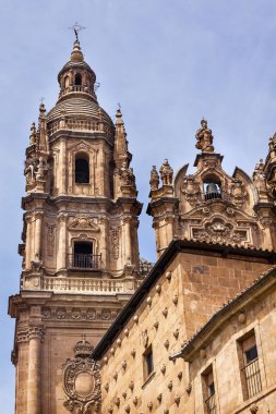 Taş kule yeni Salamanca Cathedral İspanya