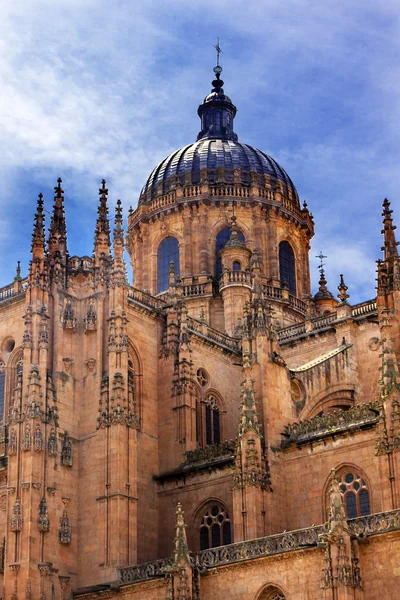 Stone koepel nieuwe kathedraal van Salamanca-Spanje — Stockfoto