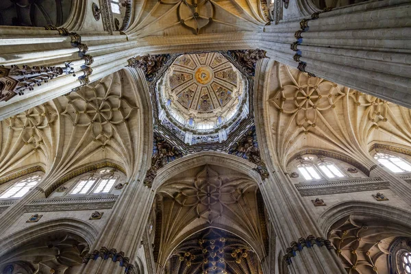 Taş sütunlar kubbe heykellere yeni Salamanca Cathedral İspanya — Stok fotoğraf