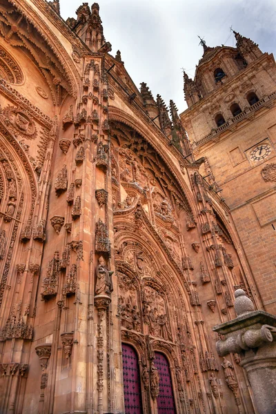 Stone toren deur Facade nieuwe Salamanca kathedraal Spanje — Stockfoto