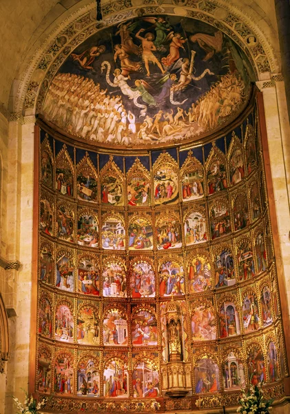 Стародавні апсиди будинку старої Саламанка собору Іспанії — стокове фото