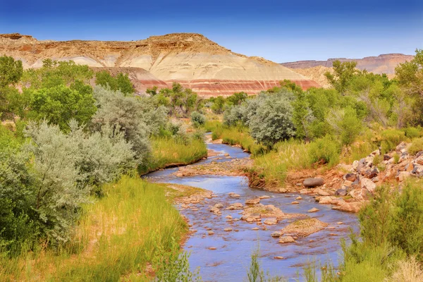 Red White Sandstone Mountain Fremont River Capitol Reef National — Stock Photo, Image