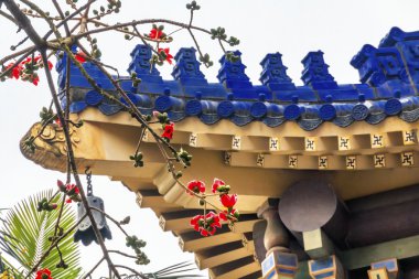 Kırmızı itx Ceiba Kapok pamuk çiçek Guangzhou şehir çiçek güneş Y