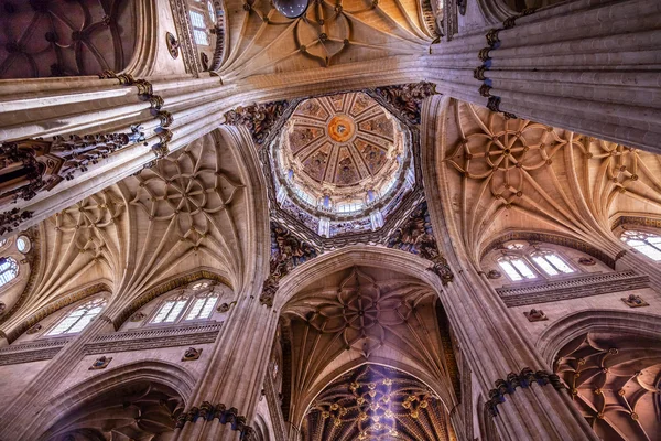 Taş sütunlar kubbe heykellere yeni Salamanca Cathedral İspanya — Stok fotoğraf