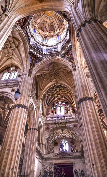 Taş sütunlar heykeller yeni Salamanca Cathedral İspanya kubbe — Stok fotoğraf