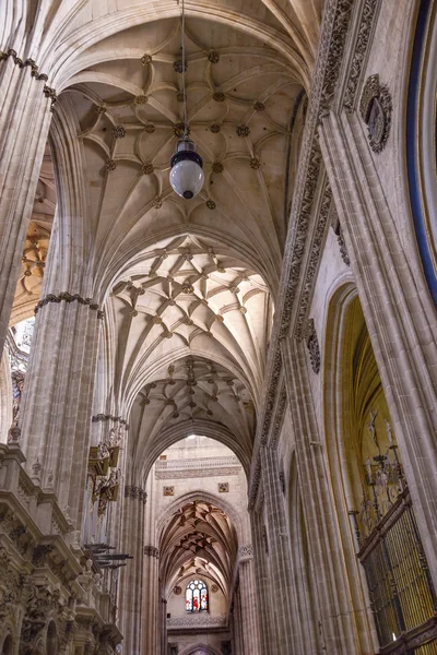 Stone sloupce sochy nové Salamanca katedrála Španělsko — Stock fotografie