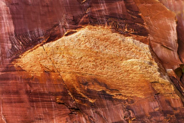 バッファロー抽象イメージ キャピトル リーフ国立公園 — ストック写真
