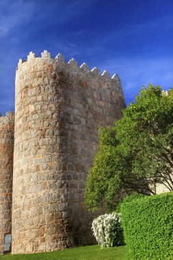 Avila Castle Walls Cityscape Castile Spain