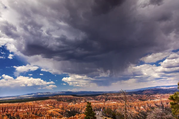 Uniformizacja deszcz burza amfiteatr Hoodoos Bryce punkt Bryce Canyon — Zdjęcie stockowe