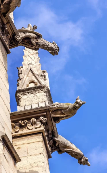 Wieża katedry rzeźby Gargoyles Sainte Chapelle Paryż Francja — Zdjęcie stockowe