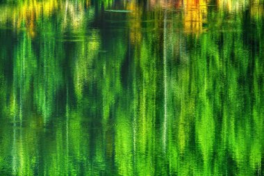 Renkli Çıngıraklı Yılan Gölü Yansıması Soyut Kuzey Kıvrımı Washington. Göl, yakındaki Cedar Nehri tarafından besleniyor. Sonbahar, düşen yapraklardan birçok renkli yansıma yaratır..